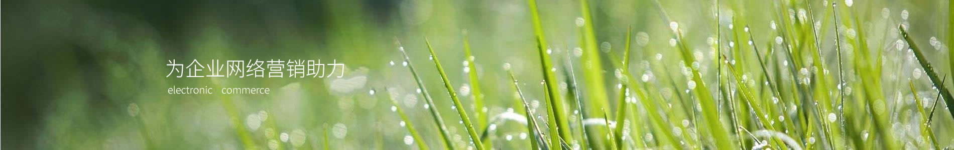 аҿƼ޹˾